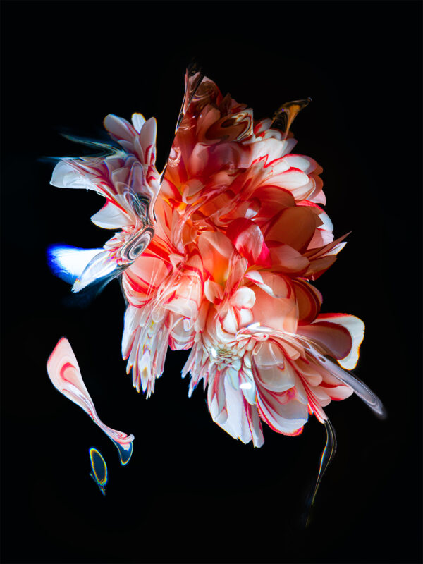  - Image 3 of 8