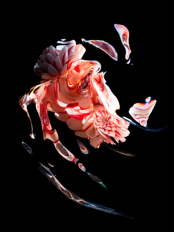  - Image 4 of 8