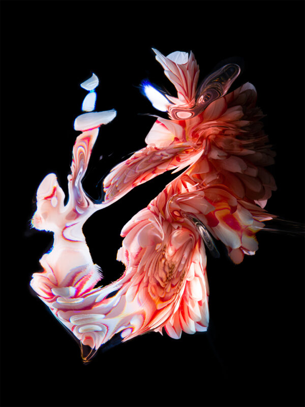  - Image 5 of 8