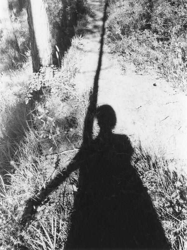  - Image 5 of 8