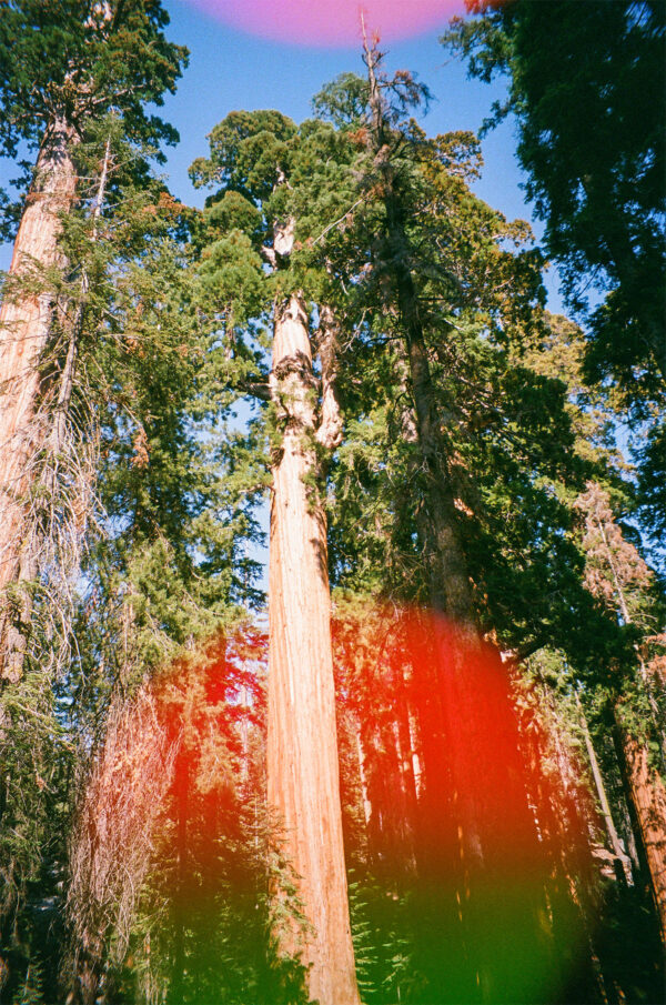  - Image 5 of 8