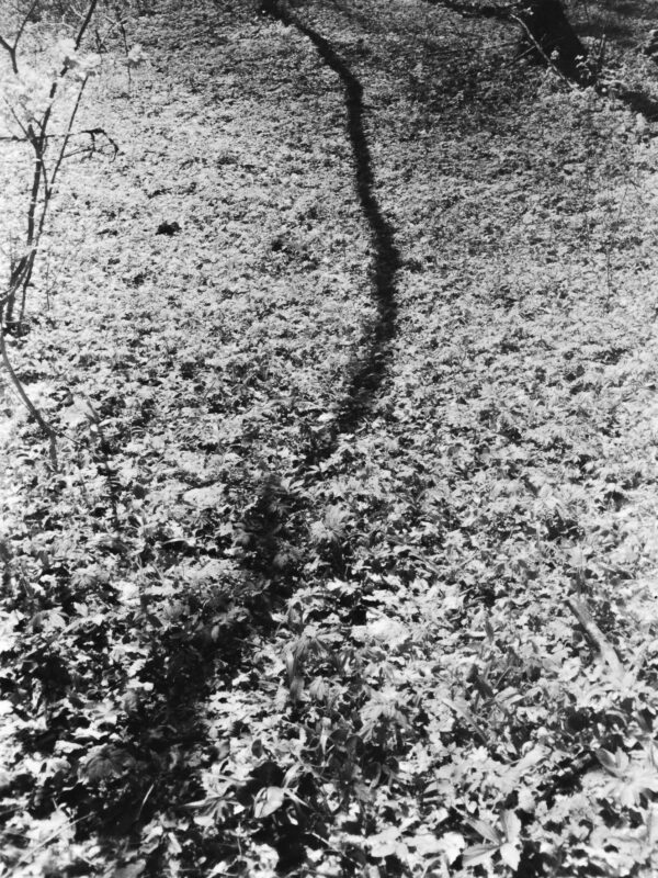  - Image 6 of 8