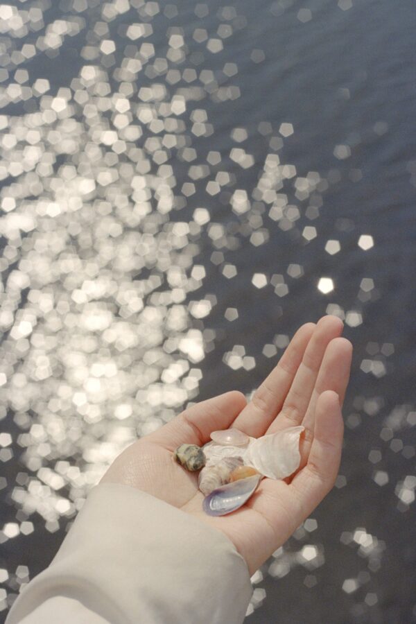  - Image 7 of 7