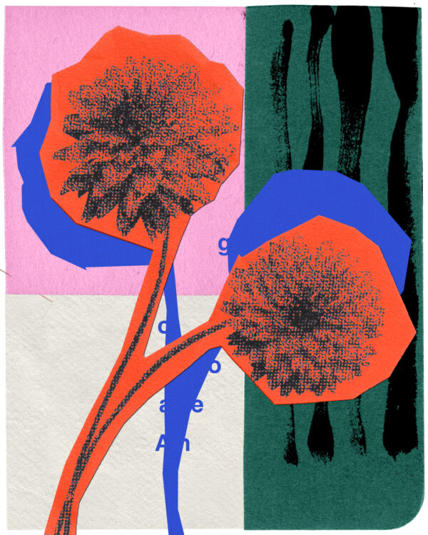  - Image 4 of 5