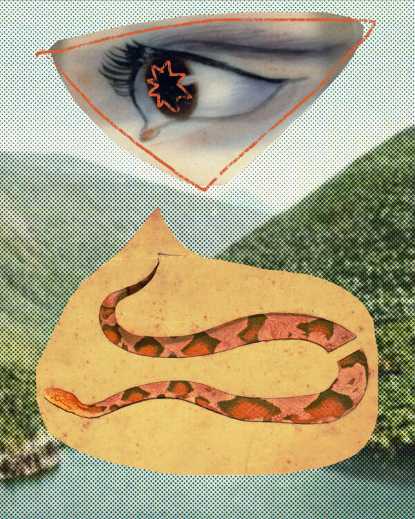  - Image 3 of 8