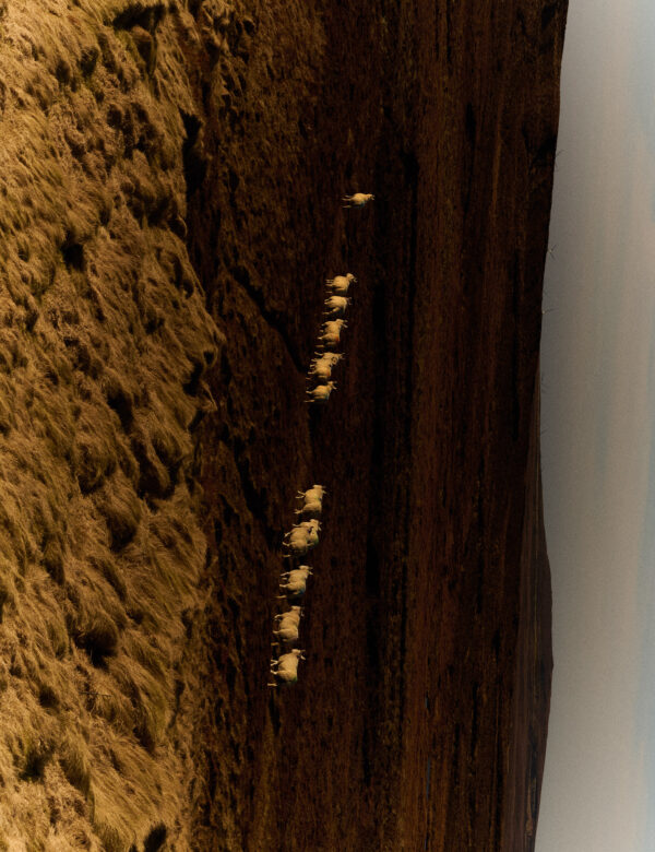  - Image 2 of 8