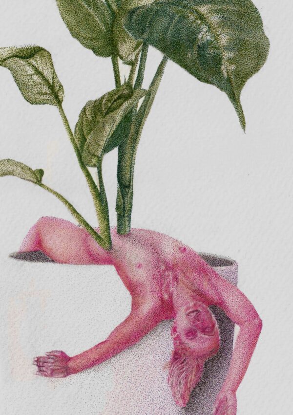  - Image 1 of 3