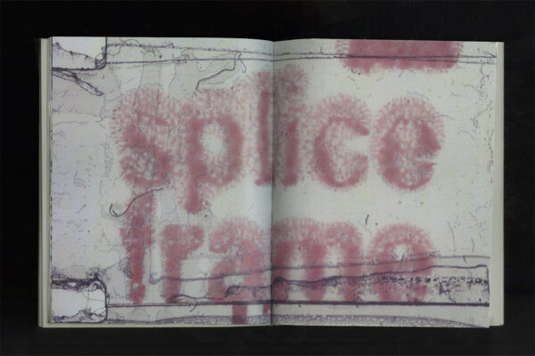  - Image 7 of 7