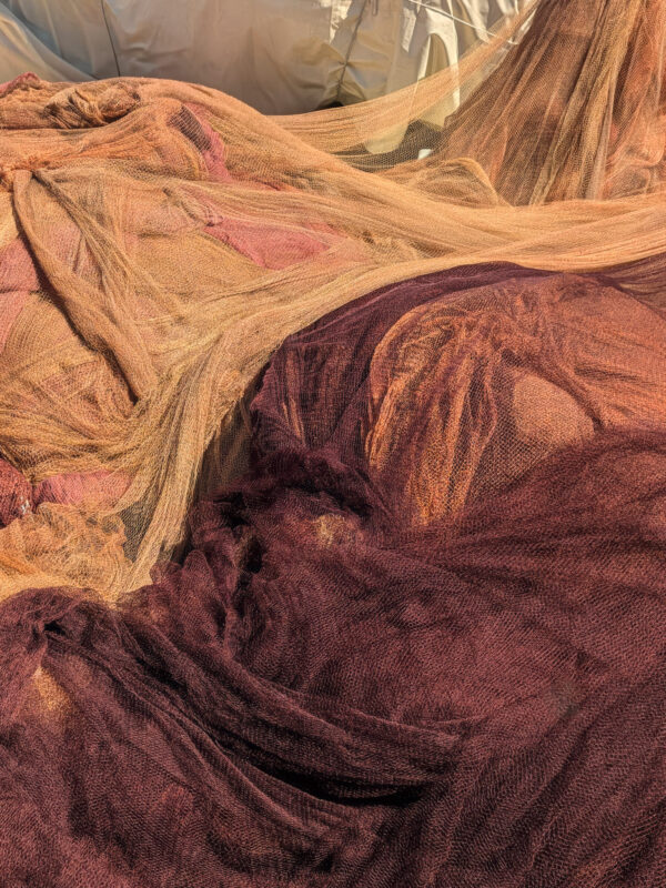  - Image 7 of 8