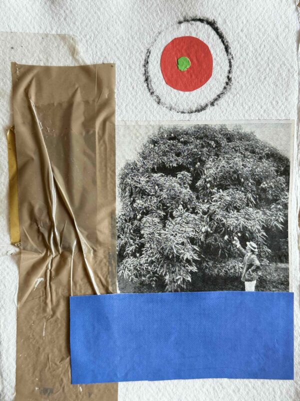  - Image 4 of 7