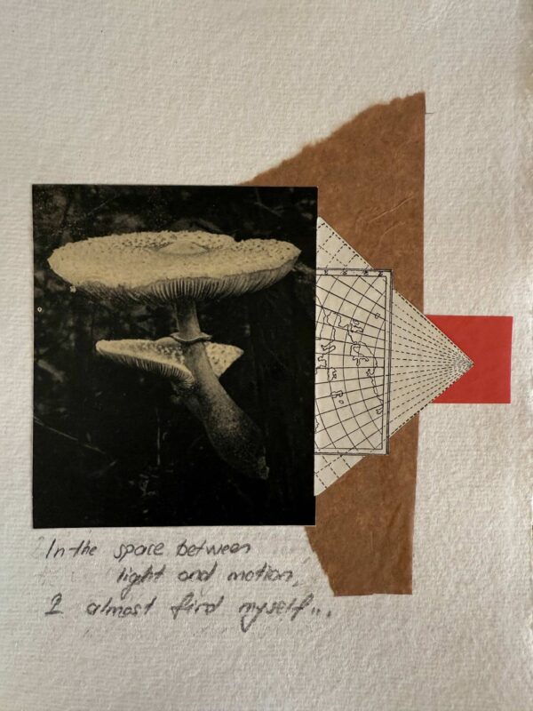  - Image 2 of 7