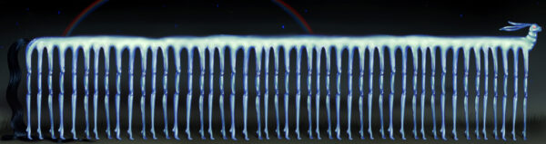  - Image 1 of 4