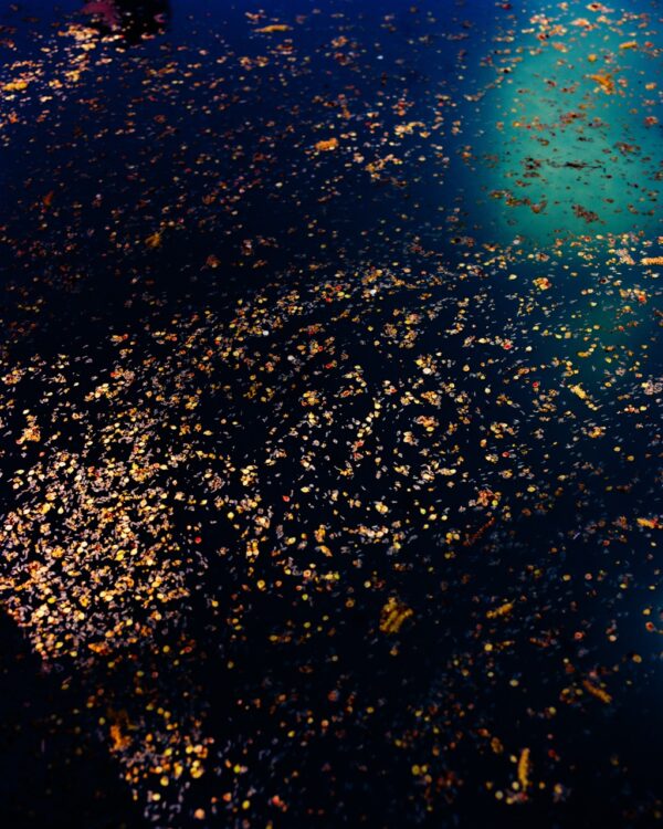  - Image 6 of 8