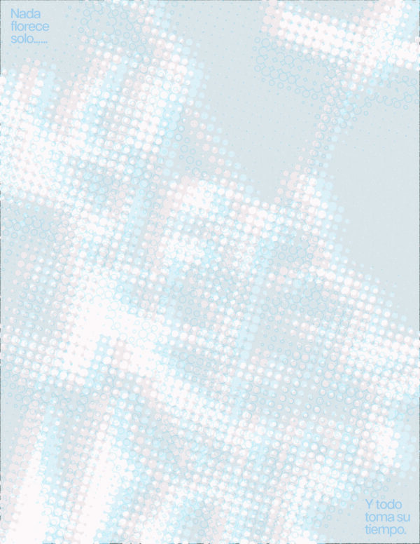  - Image 4 of 6