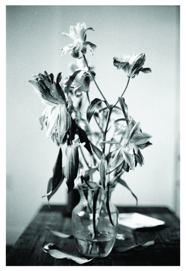  - Image 6 of 6