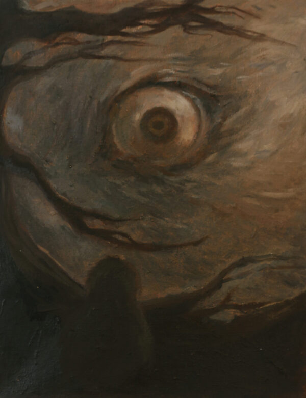  - Image 1 of 8