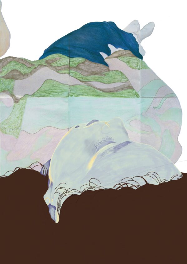  - Image 1 of 2