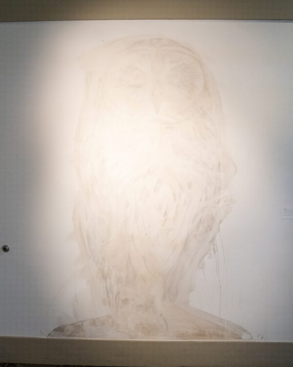  - Image 7 of 7