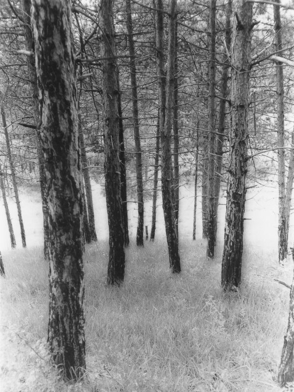  - Image 8 of 8