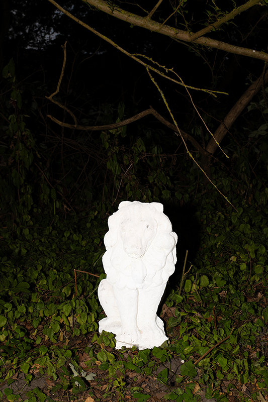  - Image 4 of 8