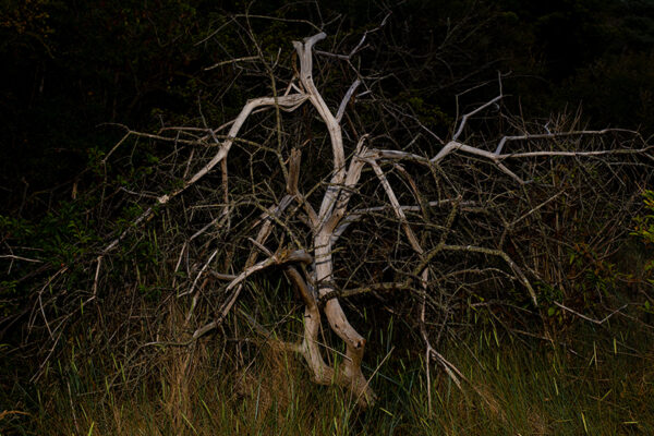  - Image 7 of 8