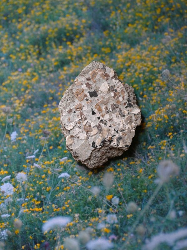  - Image 6 of 8