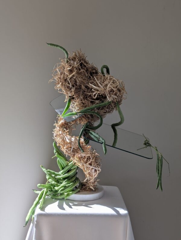  - Image 4 of 8