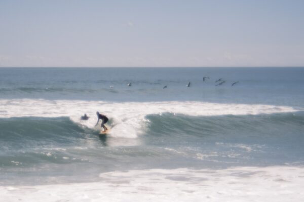  - Image 4 of 8