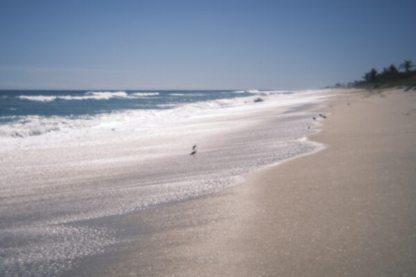  - Image 5 of 8