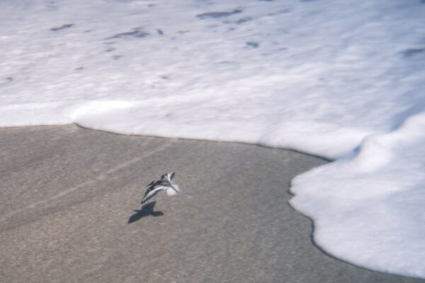  - Image 7 of 8