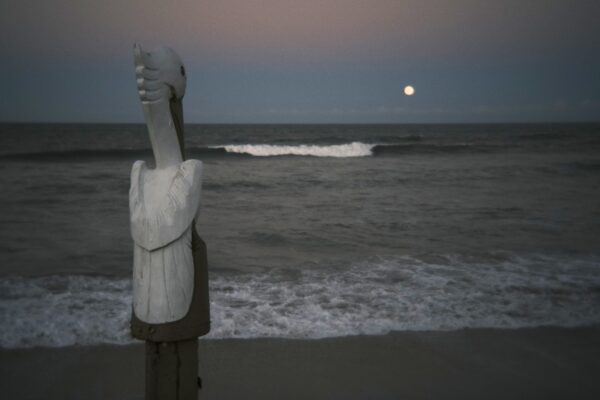  - Image 8 of 8