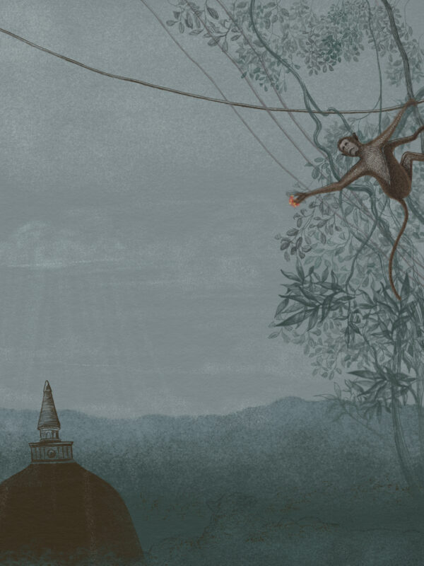  - Image 3 of 7
