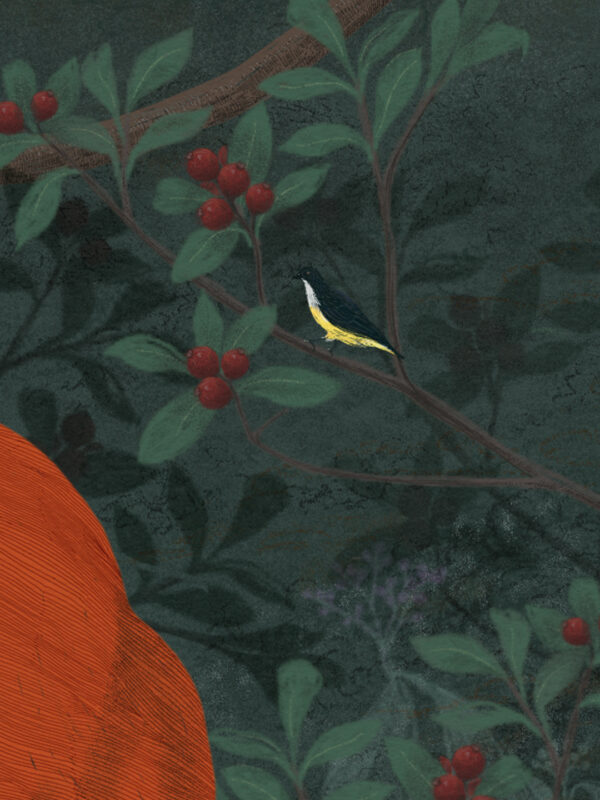  - Image 6 of 7