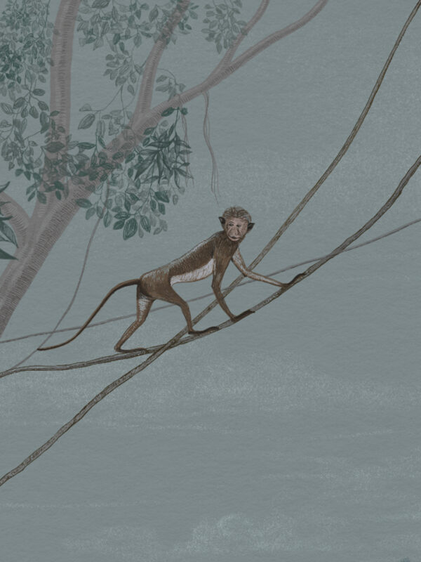  - Image 7 of 7