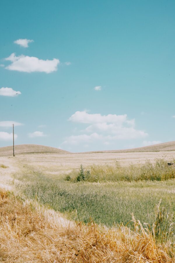  - Image 3 of 8