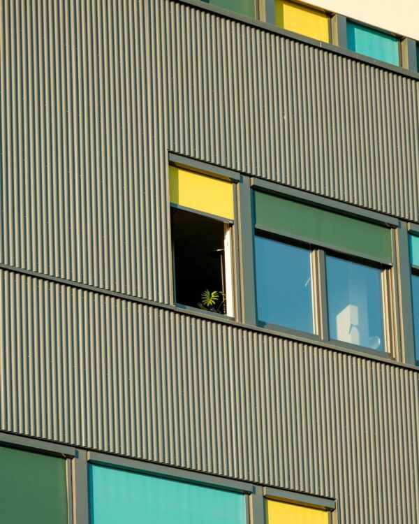  - Image 4 of 8