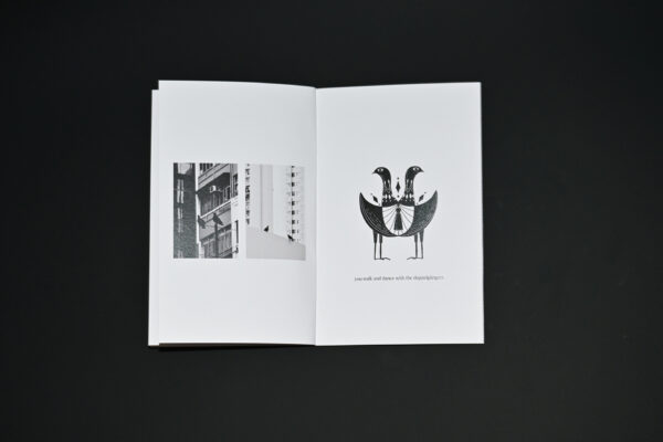  - Image 4 of 7