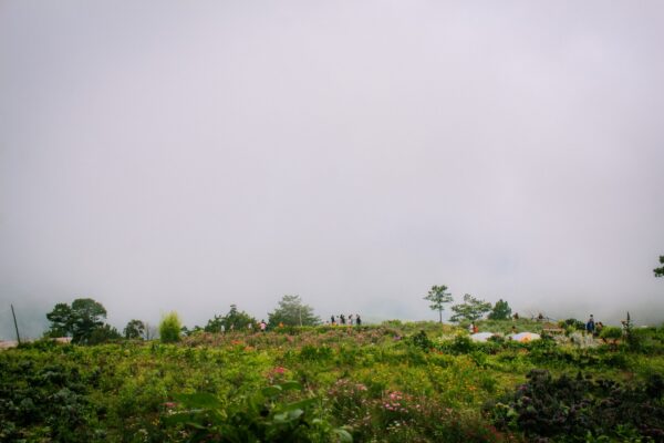  - Image 6 of 8