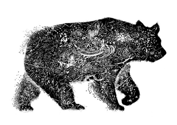  - Image 1 of 8
