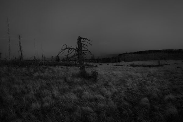  - Image 1 of 4