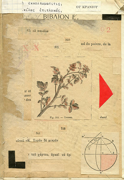 - Image 2 of 8