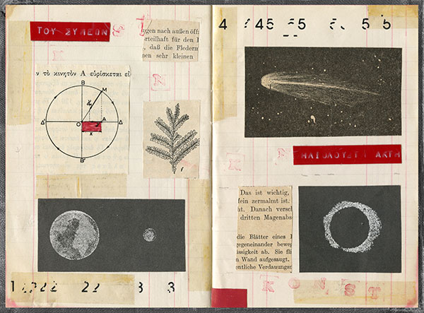  - Image 7 of 8