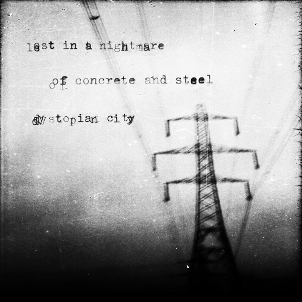  - Image 7 of 8