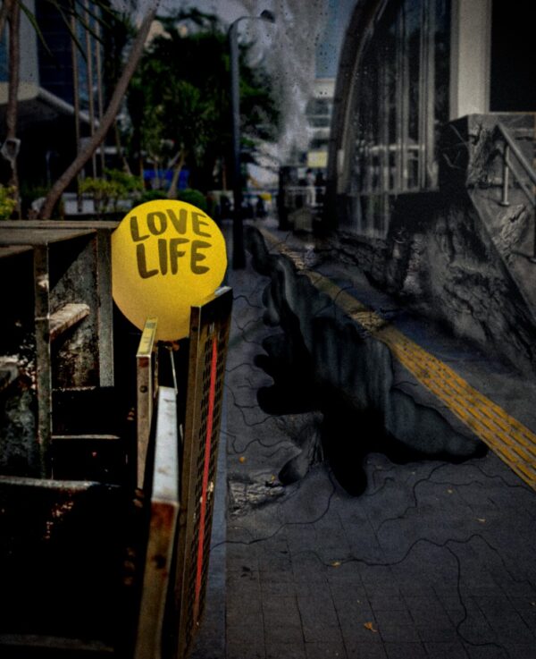  - Image 7 of 7