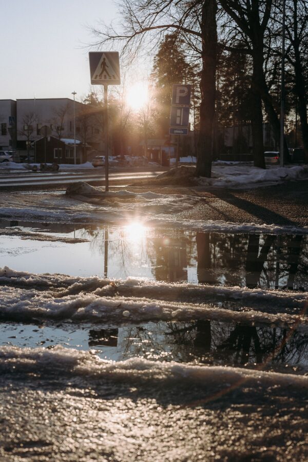  - Image 5 of 8