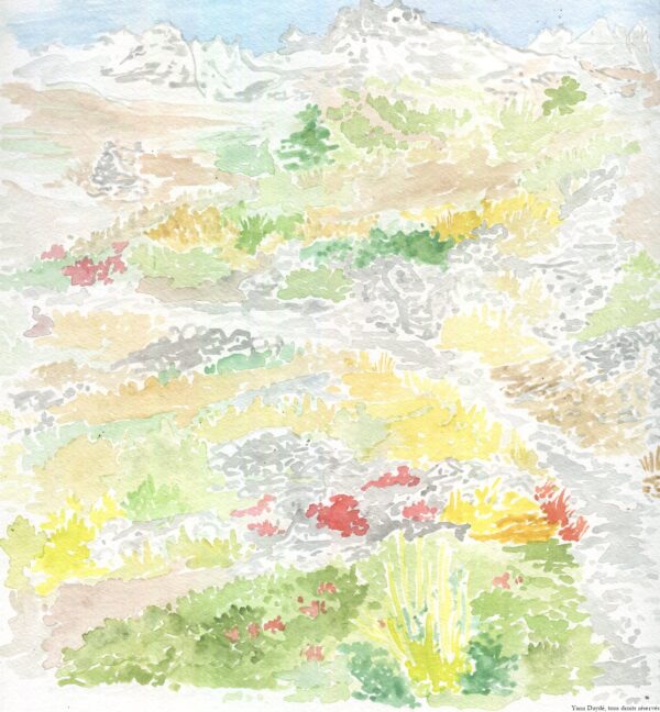  - Image 5 of 7