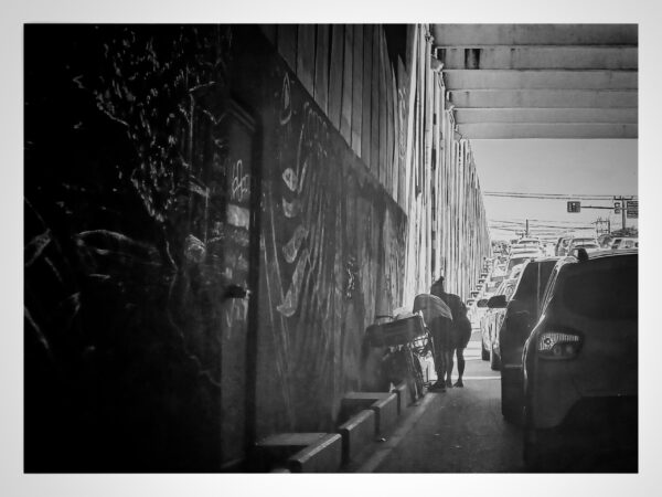  - Image 3 of 8