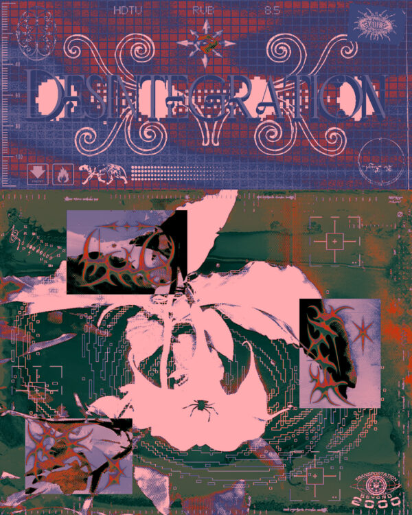  - Image 4 of 4