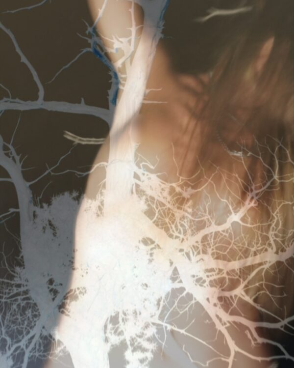  - Image 3 of 4