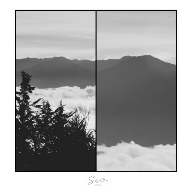  - Image 4 of 4